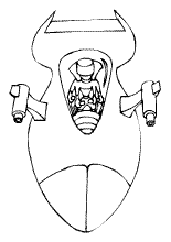 $nom coloriage  imprimer