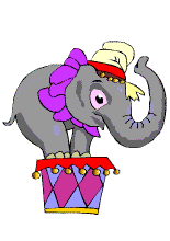 l'éléphant de cirque