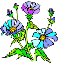 coloriage fleur