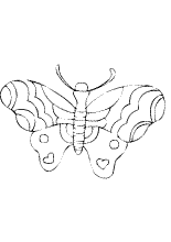 $nom coloriage  imprimer